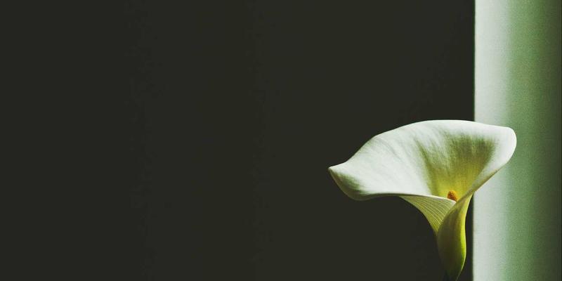 二手物品循环利用全攻略：买卖、置换与改造升级的实用技巧与科技趣闻