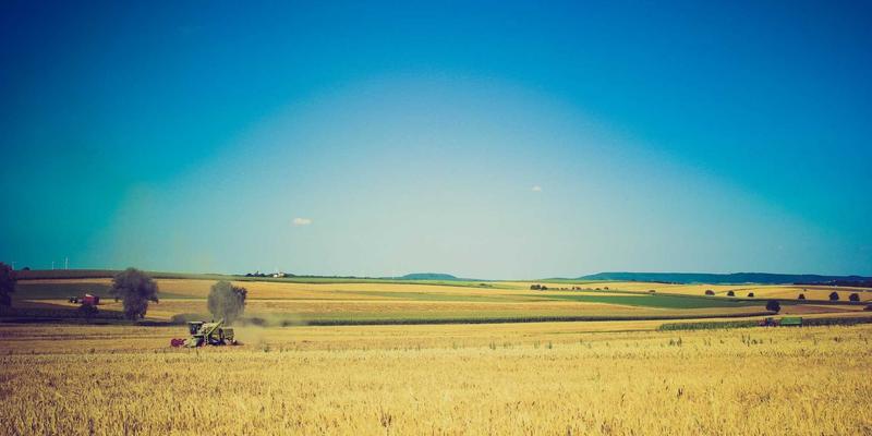 健康生活不复杂！3个实用技巧+趣味内容，让日常焕发活力