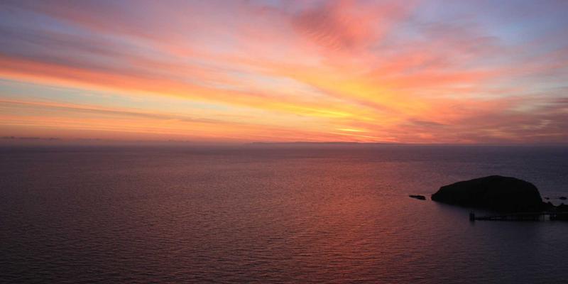 健康生活新主张：当科技趣闻遇上日常趣味，解锁你的活力密码