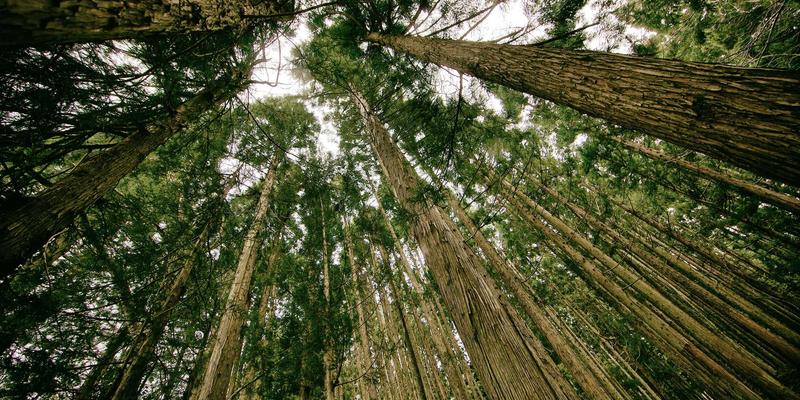城市微度假指南：解锁本地隐藏的趣味体验，兼顾娱乐八卦与健康生活