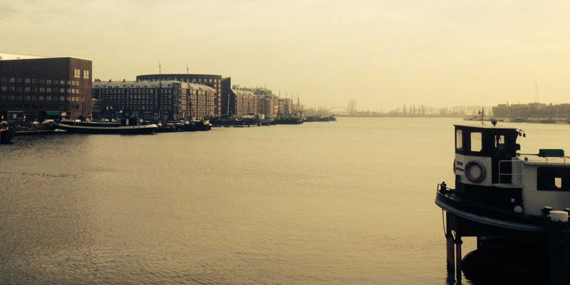 家庭宠物友好型空间改造：兼顾宠物习性与人类舒适度的设计指南