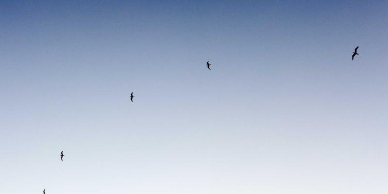 家庭节能降耗全攻略：智能家电选择与日常习惯养成的省钱方案