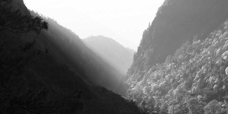 家庭饮用水安全全解析：从过滤到储存的必备知识与趣味生活资讯