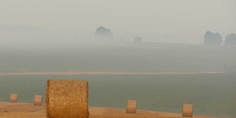 生活资讯78:科技趣闻、娱乐八卦与实用技巧的奇妙交汇