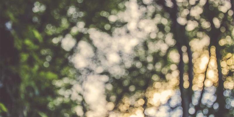 生活资讯 | 如何建立家庭应急物资储备清单：健康生活与科技趣闻结合的实用策略