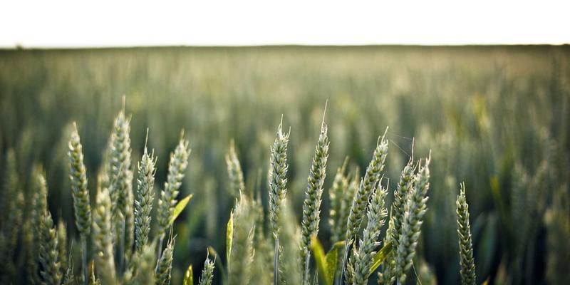 生活资讯新主张：健康与趣味交织的日常智慧