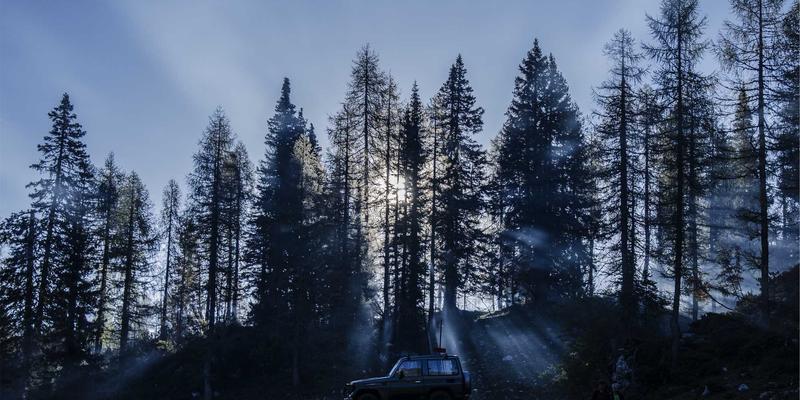 生活资讯新视角:当趣味内容遇上娱乐八卦,解锁日常的快乐密码