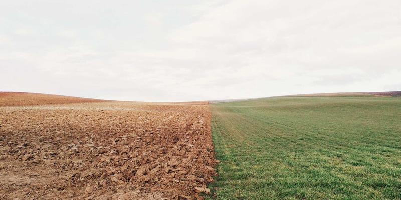 社区团购避坑指南：3招教你挑到优质生鲜与日常用品，开启健康趣味生活