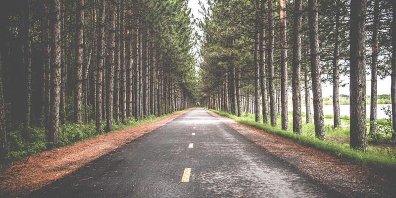 科技趣闻与健康生活融合：城市阳台种菜全攻略与高产品种推荐