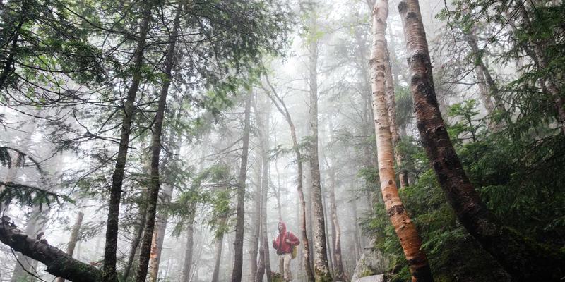 科技趣闻与生活资讯：中老年人智能手机使用全攻略，从零基础到防诈骗