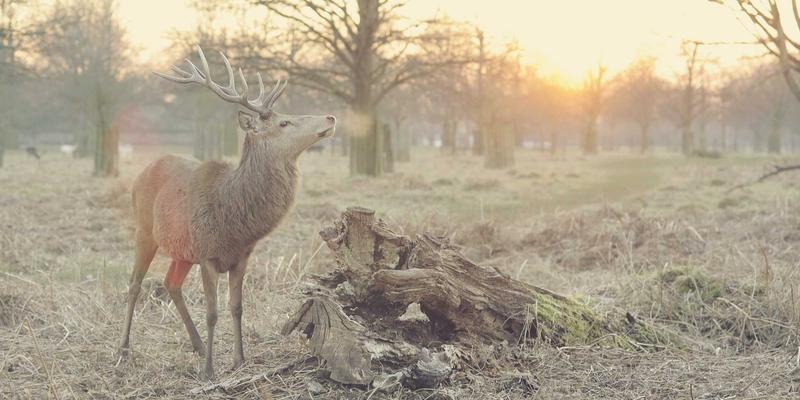 解锁健康生活新姿势：3个实用技巧与趣味内容指南