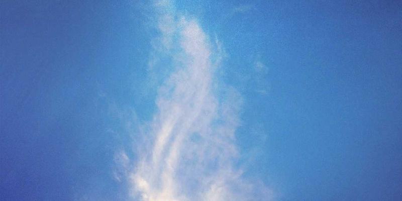 邻里资源共享平台深度测评：3个实用技巧，让社区交换成为你的生活效率加速器